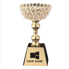 Crystal Cup Trophy